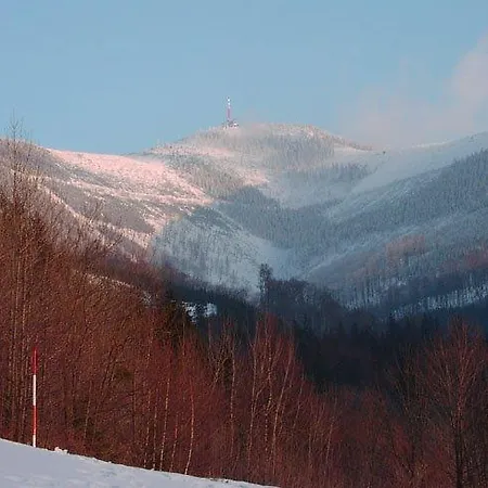 Petr Bezruc 3*